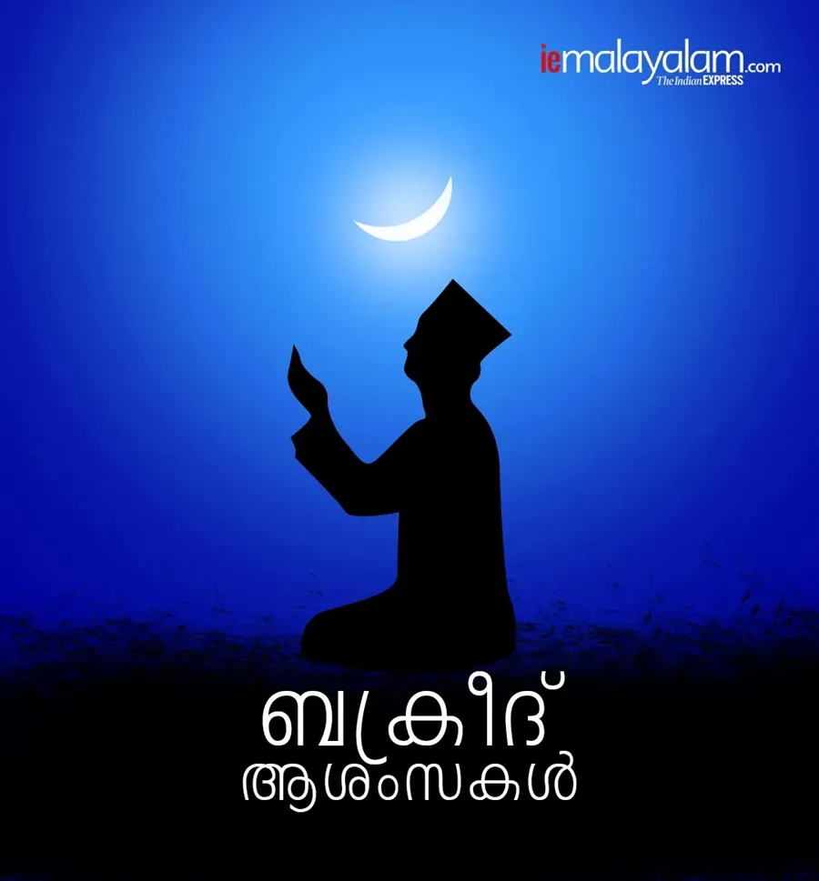 Happy Eid al Adha 2025 Wishes Eid Mubarak Wishes Quotes Messages Greetings