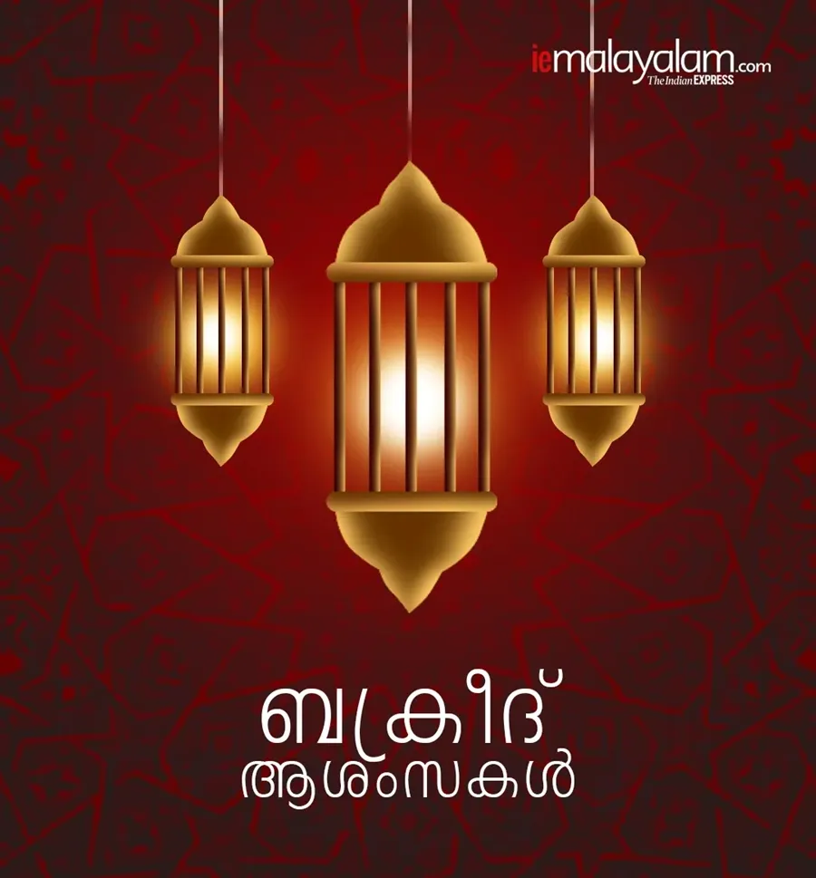 Happy Eid al Adha 2025 Wishes Eid Mubarak Wishes Quotes Messages Greetings