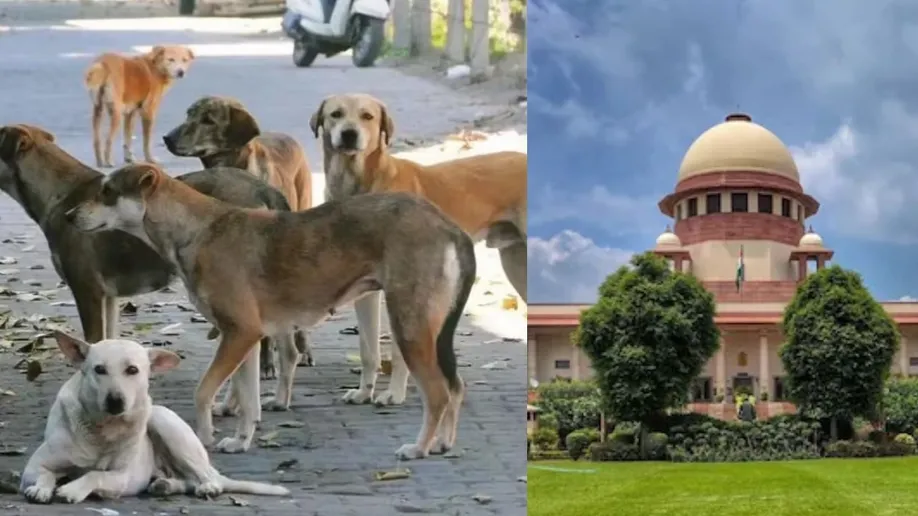 supreme court on stray dogs