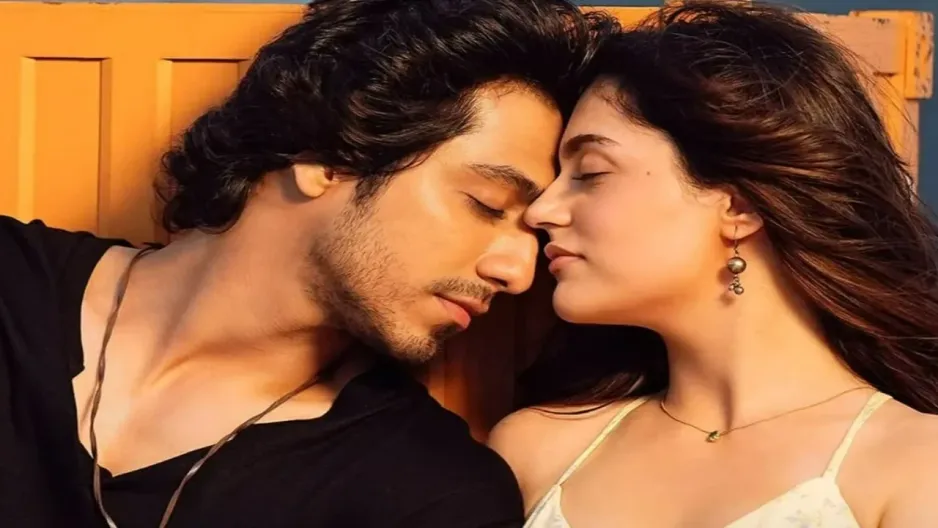 Are Aneet Padda and Ahaan Panday