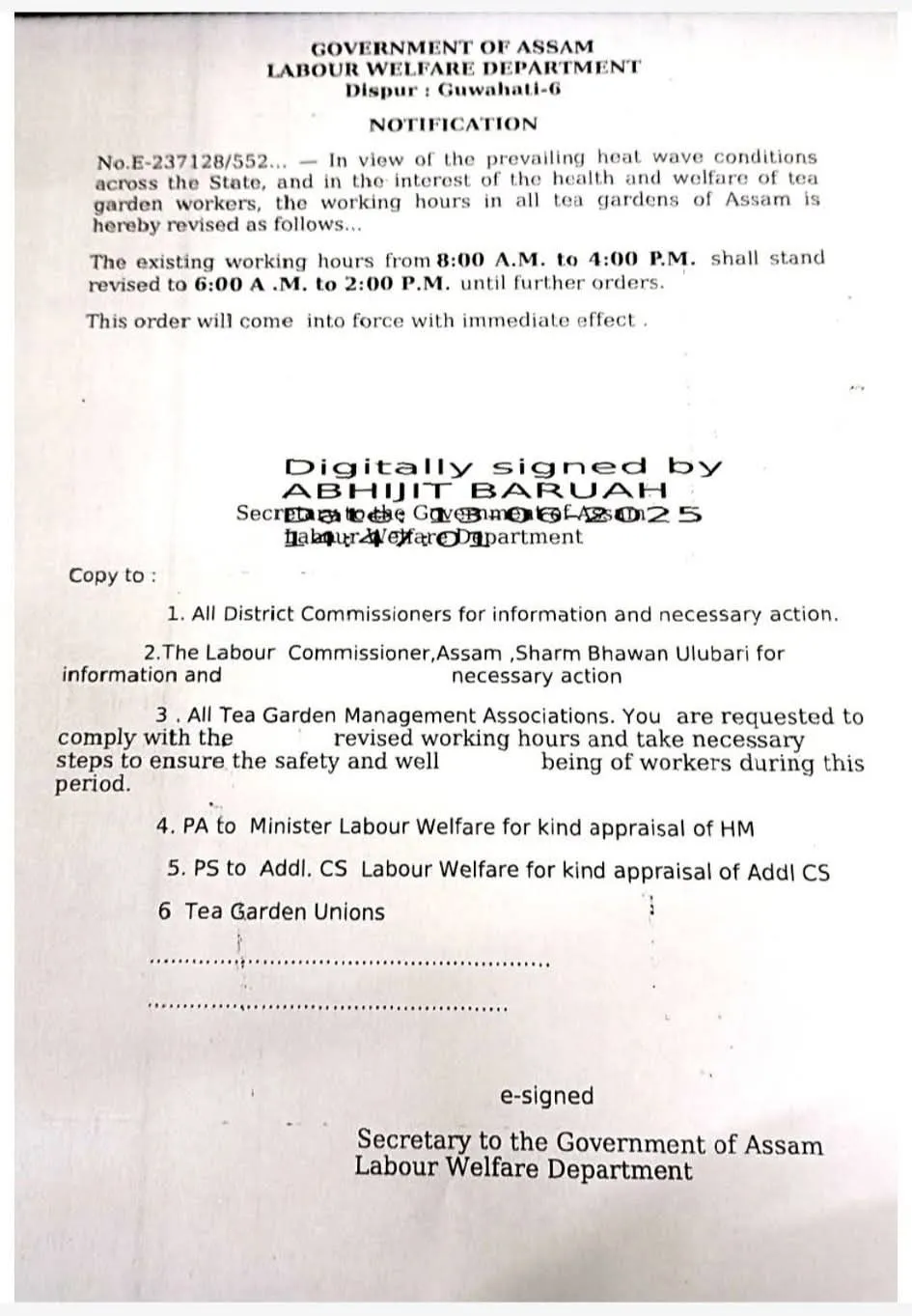 সলনি হল চাহ বাগিছাৰ দৈনিক কৰ্মসূচী