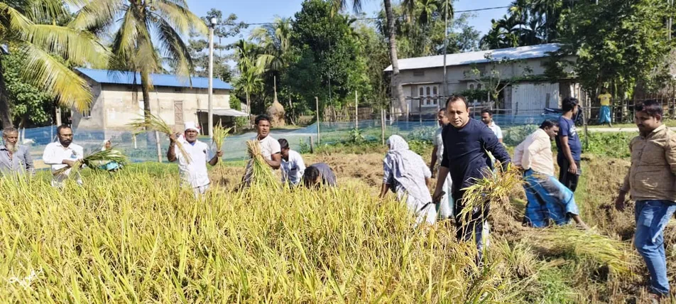 WhatsApp Image 2025-11-26 at 9.21.58 PM