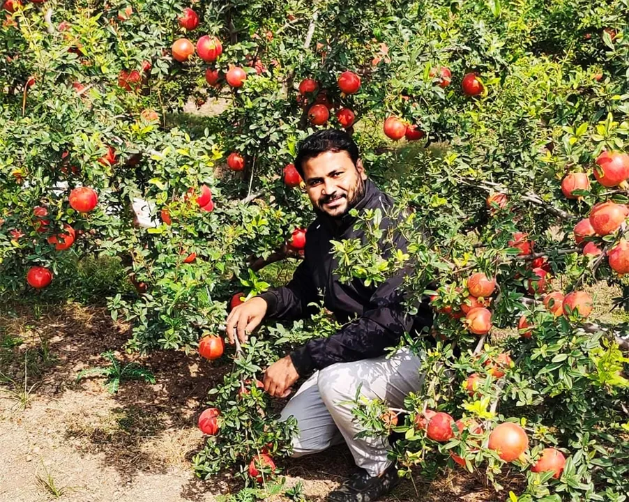 Akshay Sagar at his farm in Atpadi, Sangli