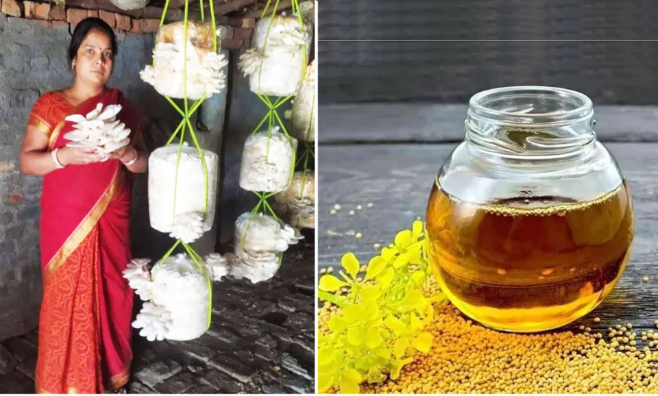 Mushrooms, Mustard and Flowers