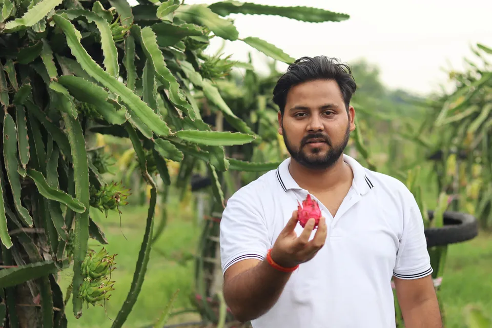 Anshul Mishra, computer engineer, chose dragon fruit farming over a job