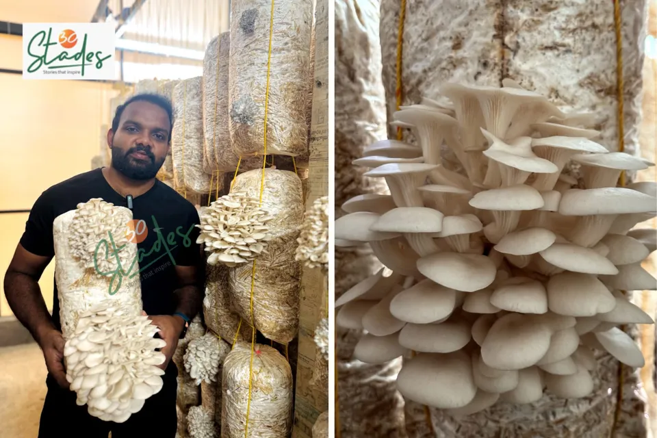Jasal K set up his hi-tech oyster mushroom unit in Kozhikode in 2018