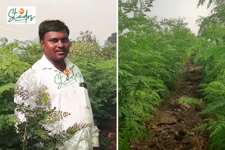 Mahadev More at his moringa farm in Sade village, Solapur, Maharashtra