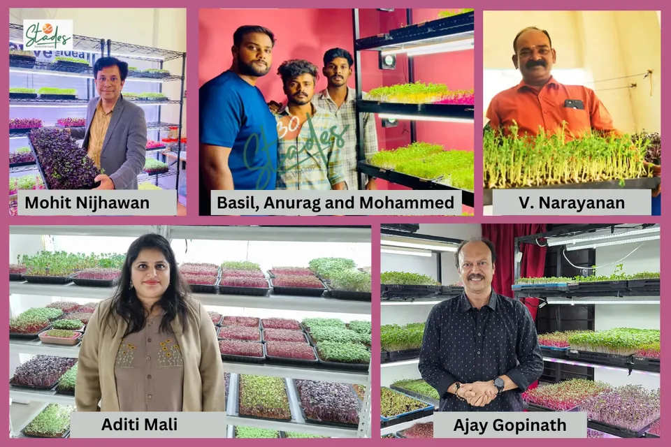 Five microgreens entrepreneurs who started in 100 sq ft and now earn lakhs monthly