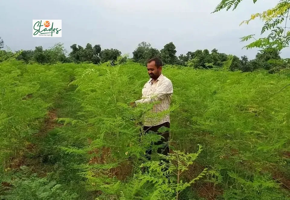 Siddheswar Mishra quit his job and began moringa farming in 2015
