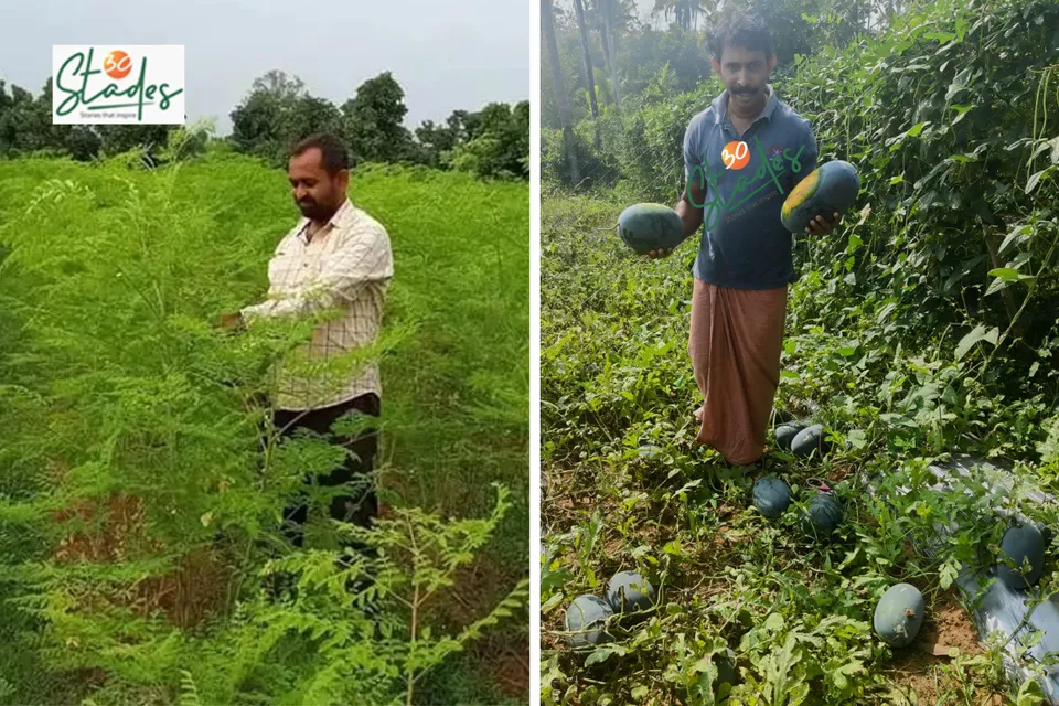 MBA Moringa Farmer and Vegetable Exporter