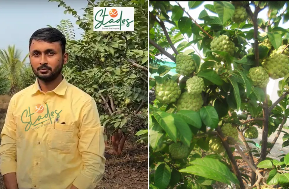 Shridhar-Divekar-custard-apple-lead-30stades