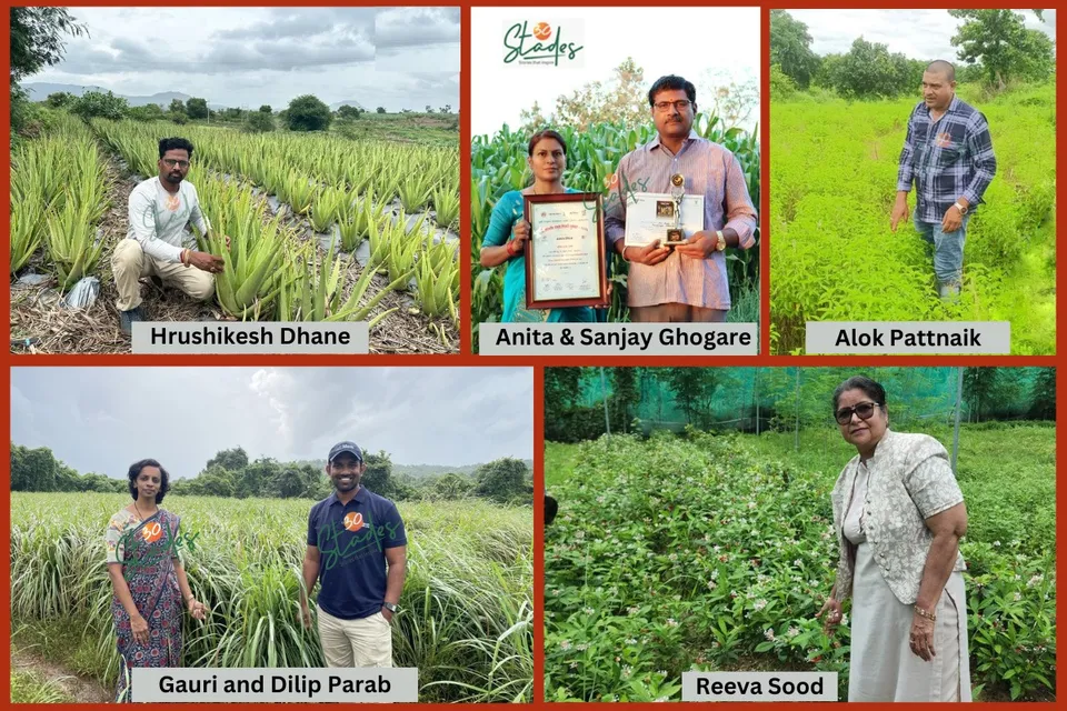 five-farmers-medicinal-plants-30stades