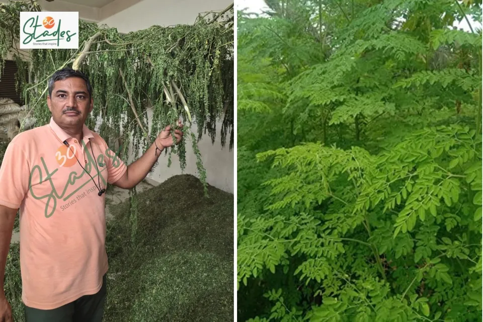 Amarjeet-singh-moringa-haryana-lead-30stades