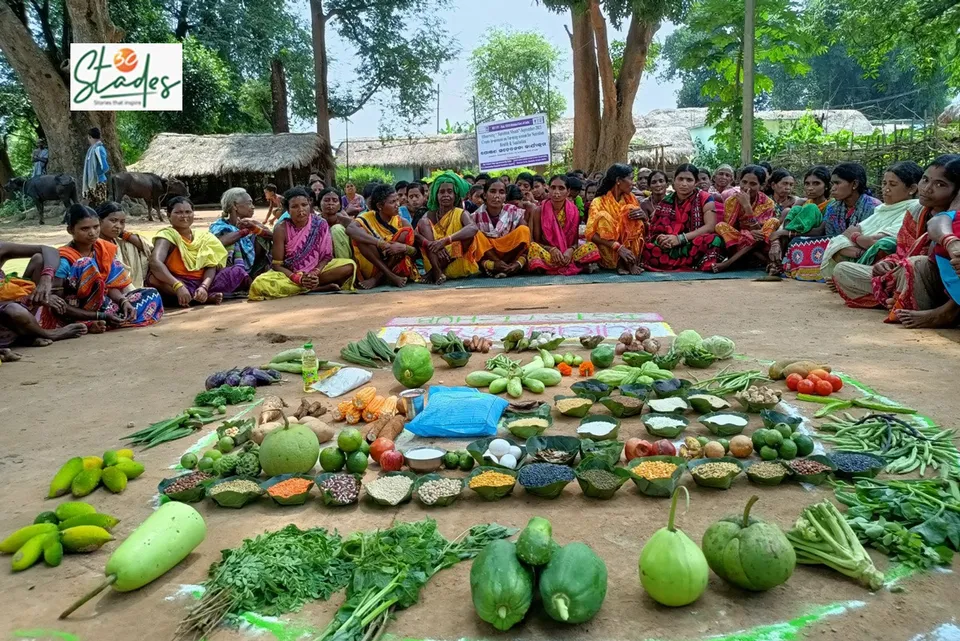 Nutri-gardens-organic-odisha-veggies-lead-30stades