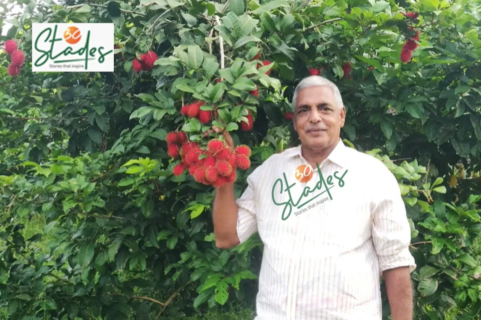 saju-mc-rambutan-kerala-lead-30stades