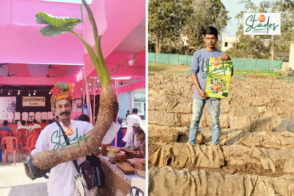 newsletter-nov23-2025