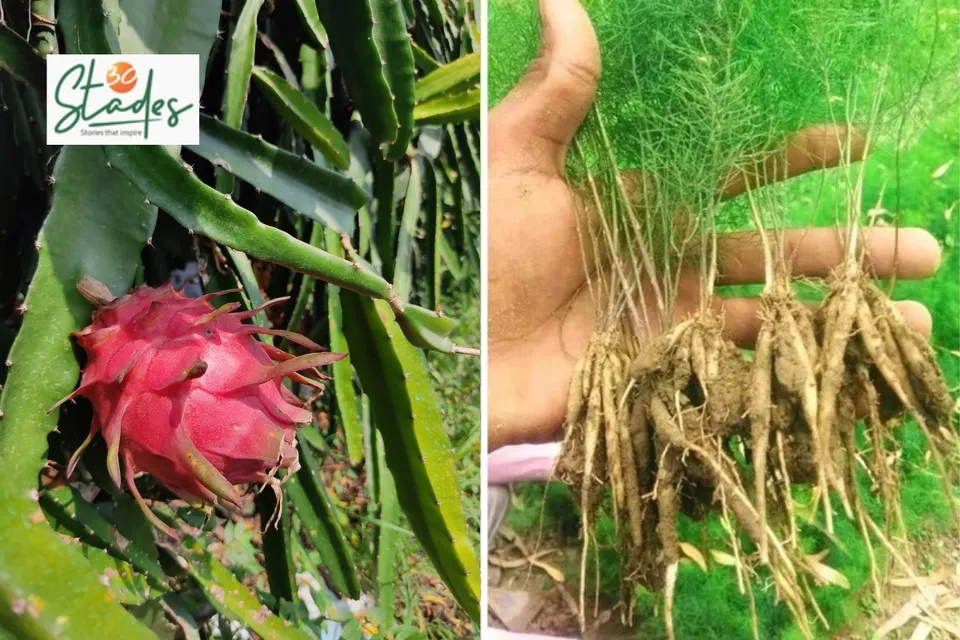 newsletter-november-30-2025