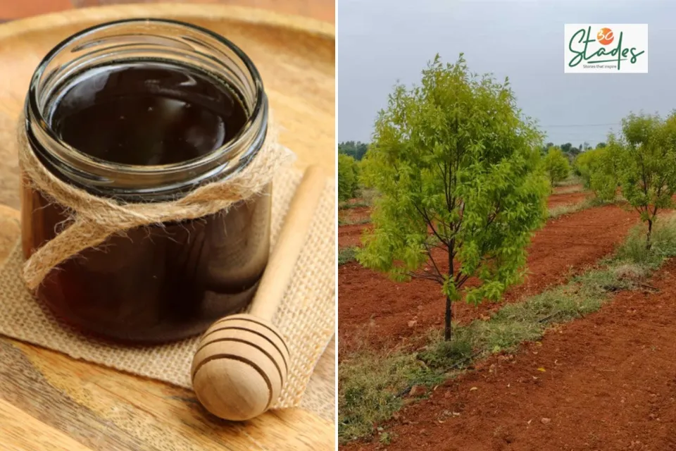 newsletter-dec-14-2025