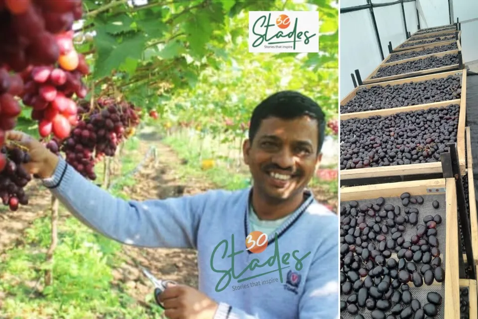 ganesh-kadam-nashik-grapes-lead-dehydration-30stades