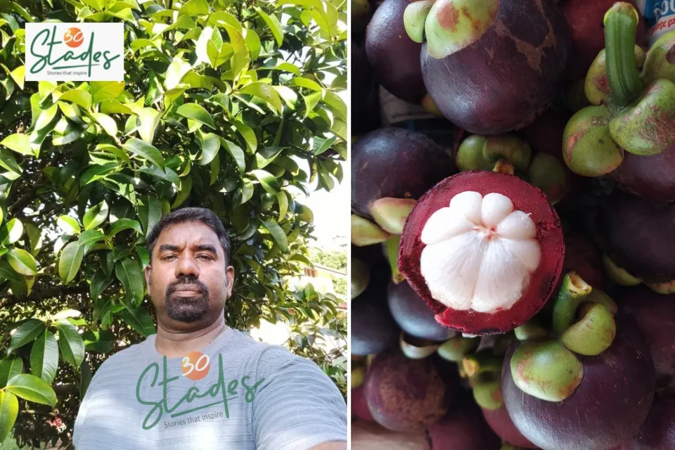 Philip-kurien-mangosteen-rambutan-lead-30stades
