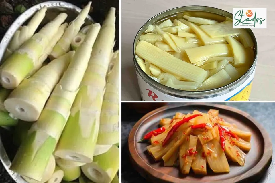 bamboo-shoots-superfood-lead-30stades