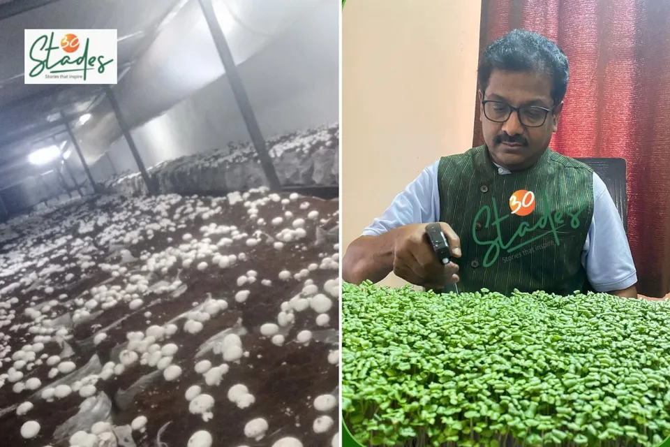 newsletter-feb1-2026-30stades