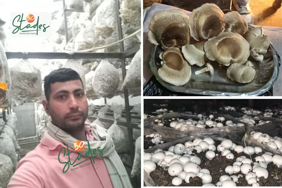 himanshu-saini-mushroom-lead-saharanpur-30stades