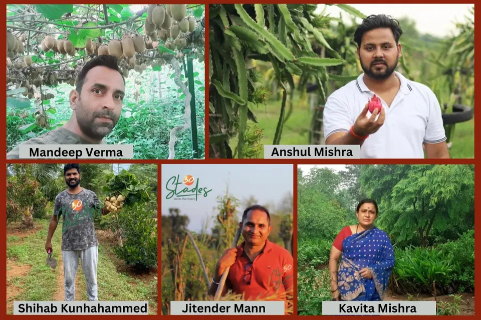 five-engineers-barren-land-profitable-30stades