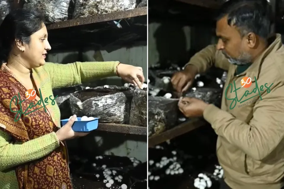 Vibhor-chauhan-sarika-lead-button-mushroom-haridwar-30stades