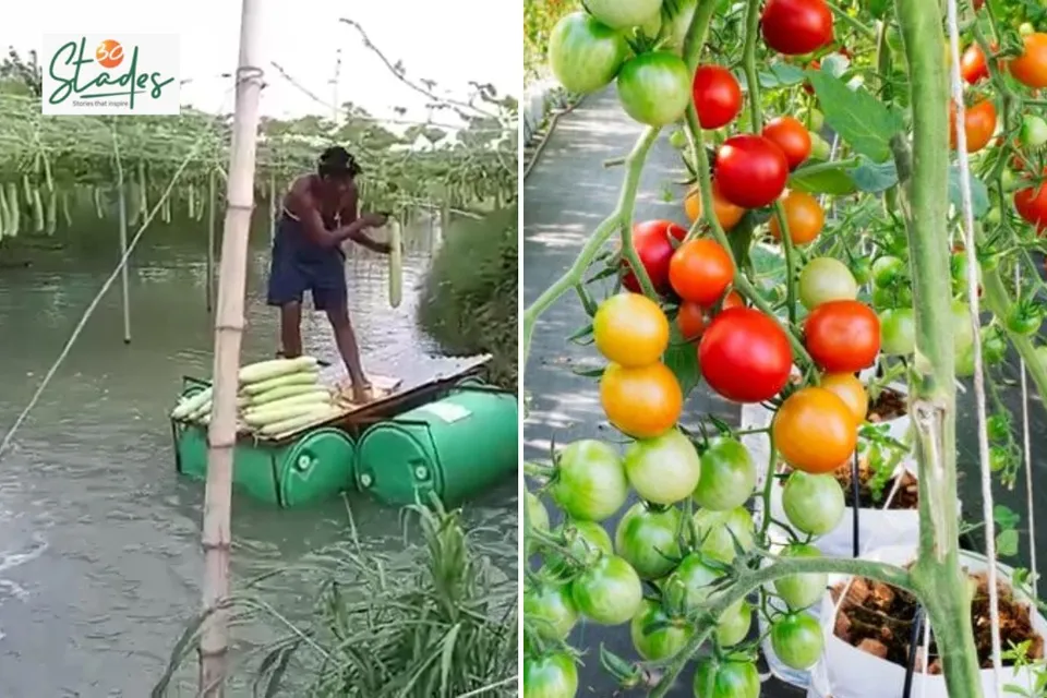 newsletter-march8-2026-30stades