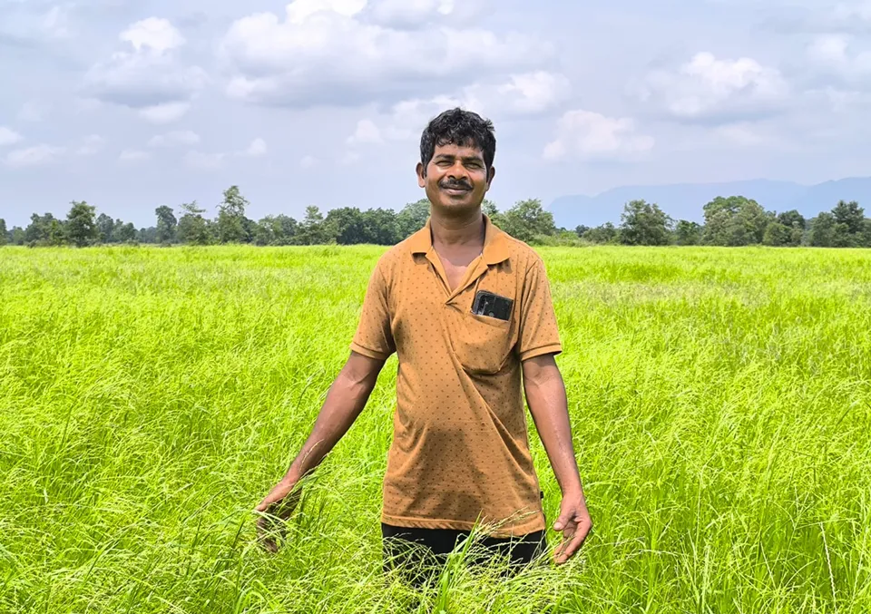 Farmers in Odisha’s tribal-dominated districts bet big on little millets