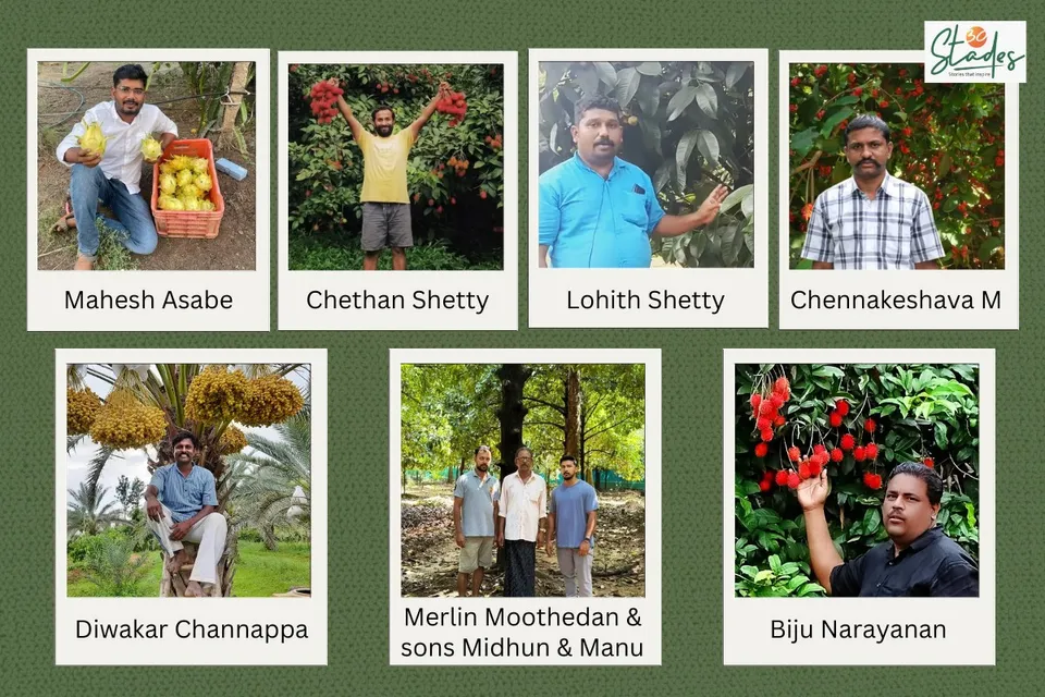 Seven exotic fruit farmers running super profitable farms