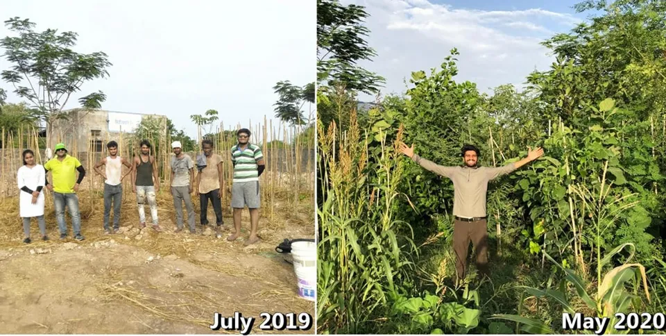 Udaipur youths turn barren lands green; help 1200 farmers go back to traditional farming