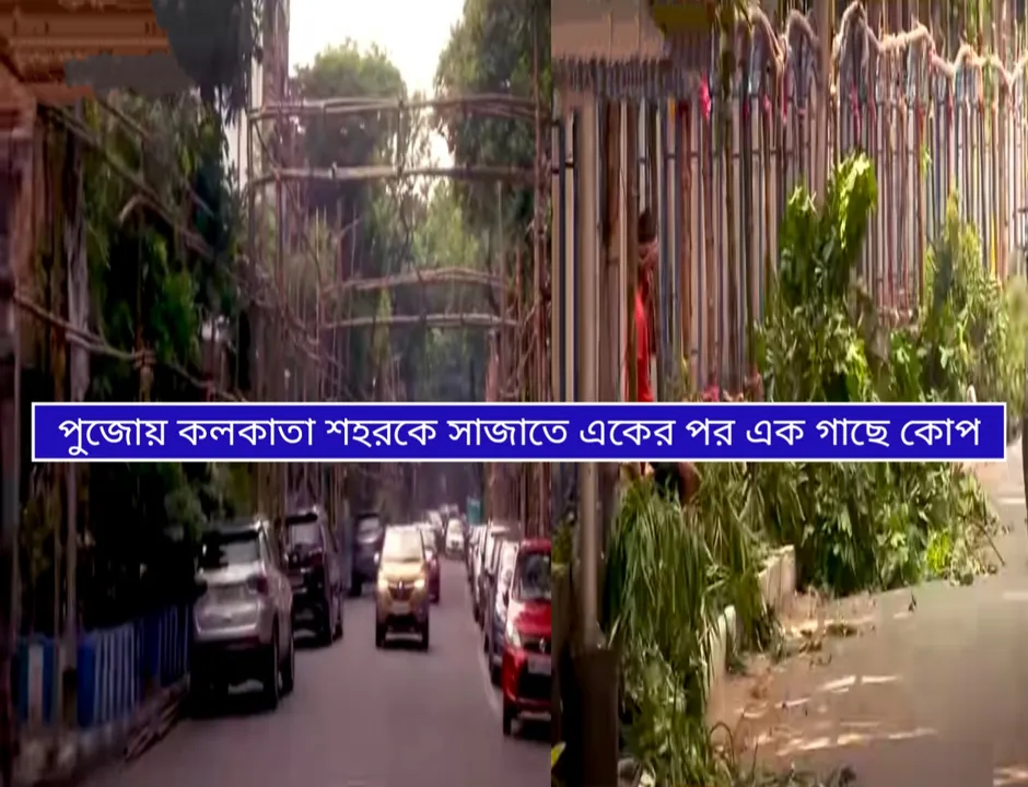 পুজো উপলক্ষে কলকাতায় একের পর এক গাছের কোপ, ঝুঁকির মুখে পরিবেশের সুরক্ষা