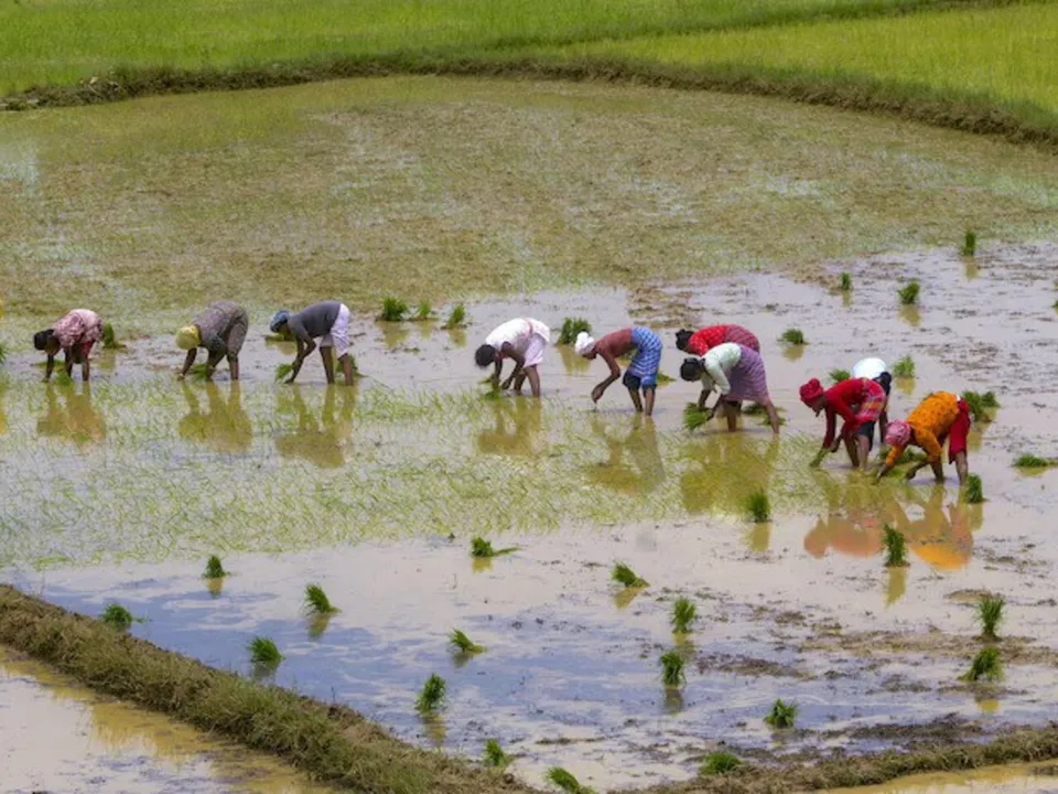 jharkhandland1-ezgif.com-resize