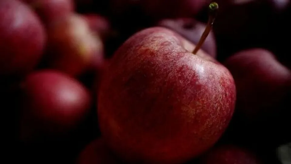 apple111111111