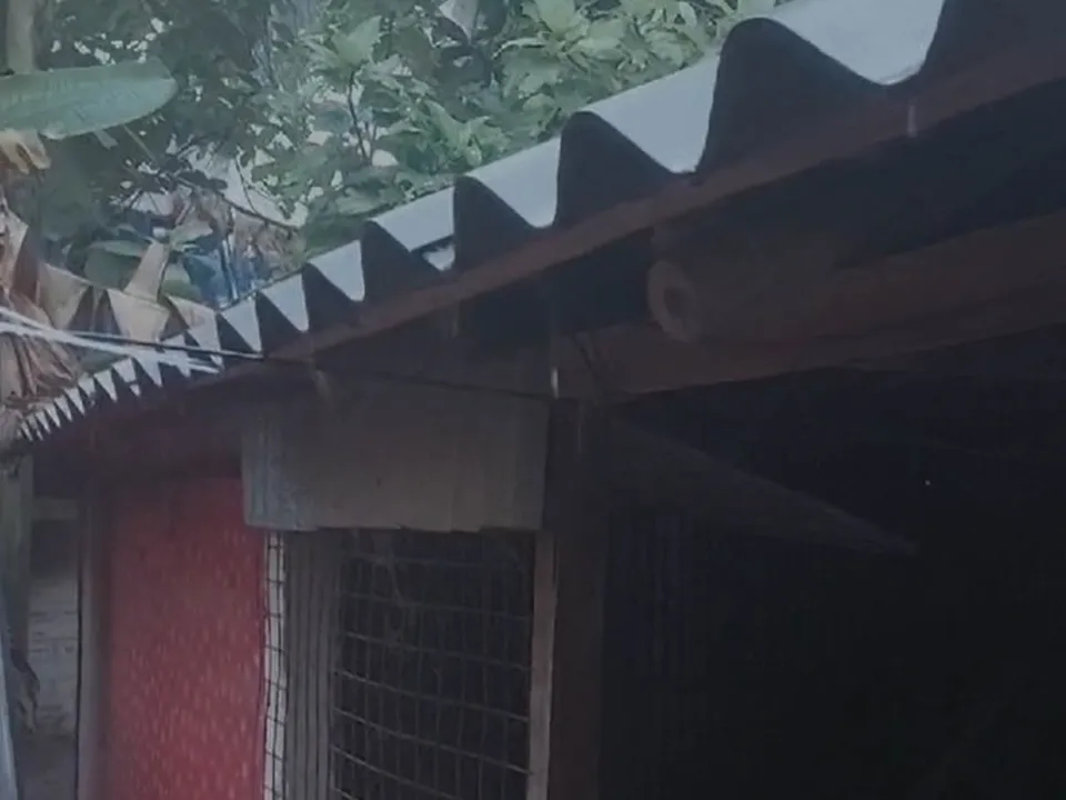 স
