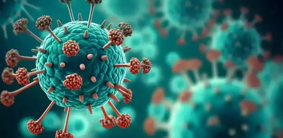 hmvp virus