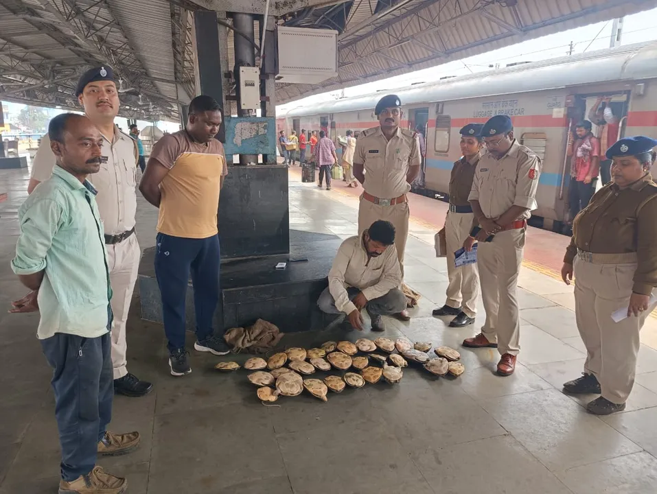 WhatsApp Image 2025-02-01 at 8.34.08 PM