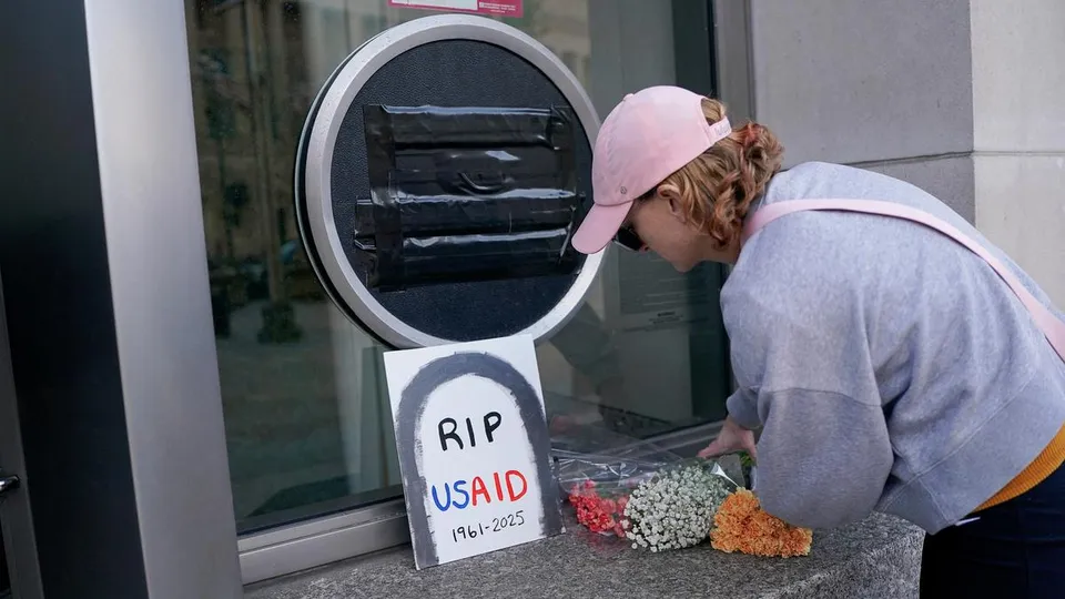 International Development