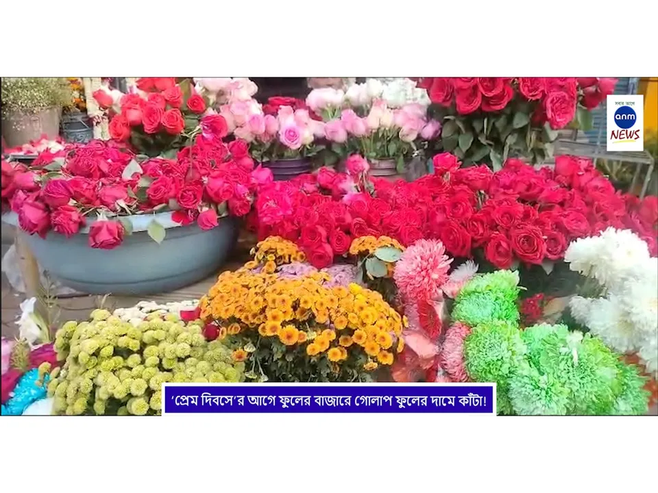 WhatsApp Image 2025-02-13 at 14.33.57