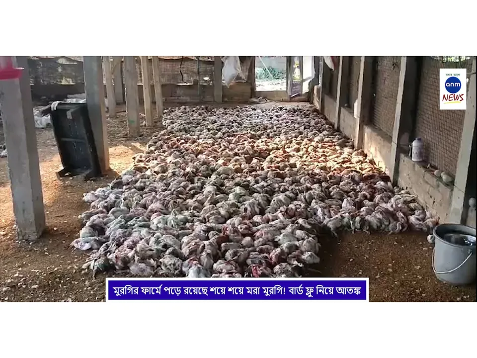 WhatsApp Image 2025-02-17 at 5.38.32 PM