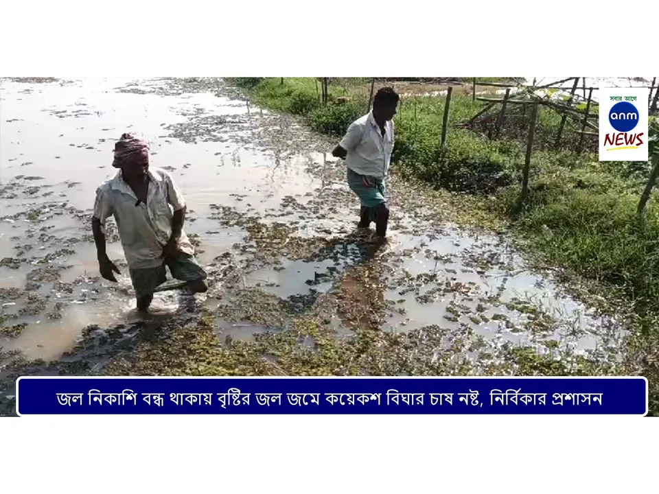 WhatsApp Image 2025-02-17 at 19.10.49