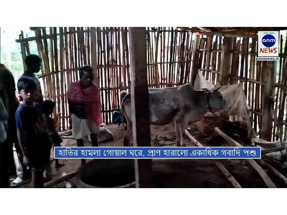 WhatsApp Image 2025-03-20 at 19.17.39