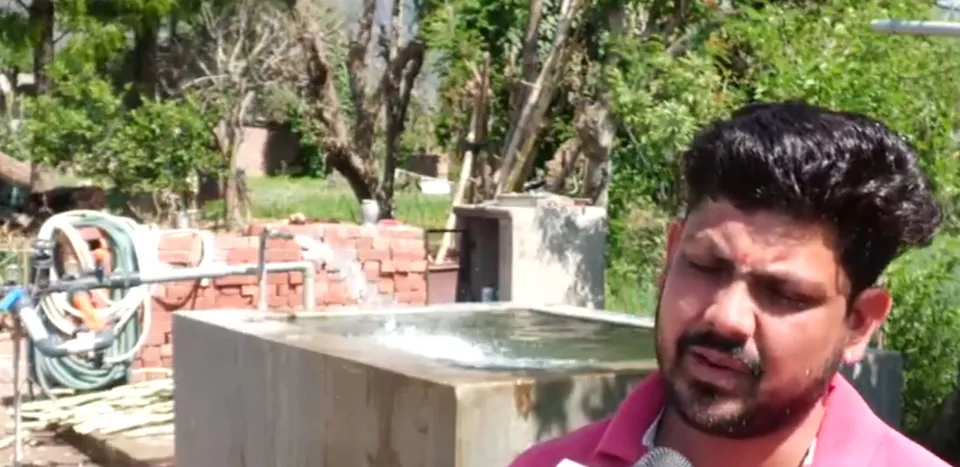 straberry cultivation