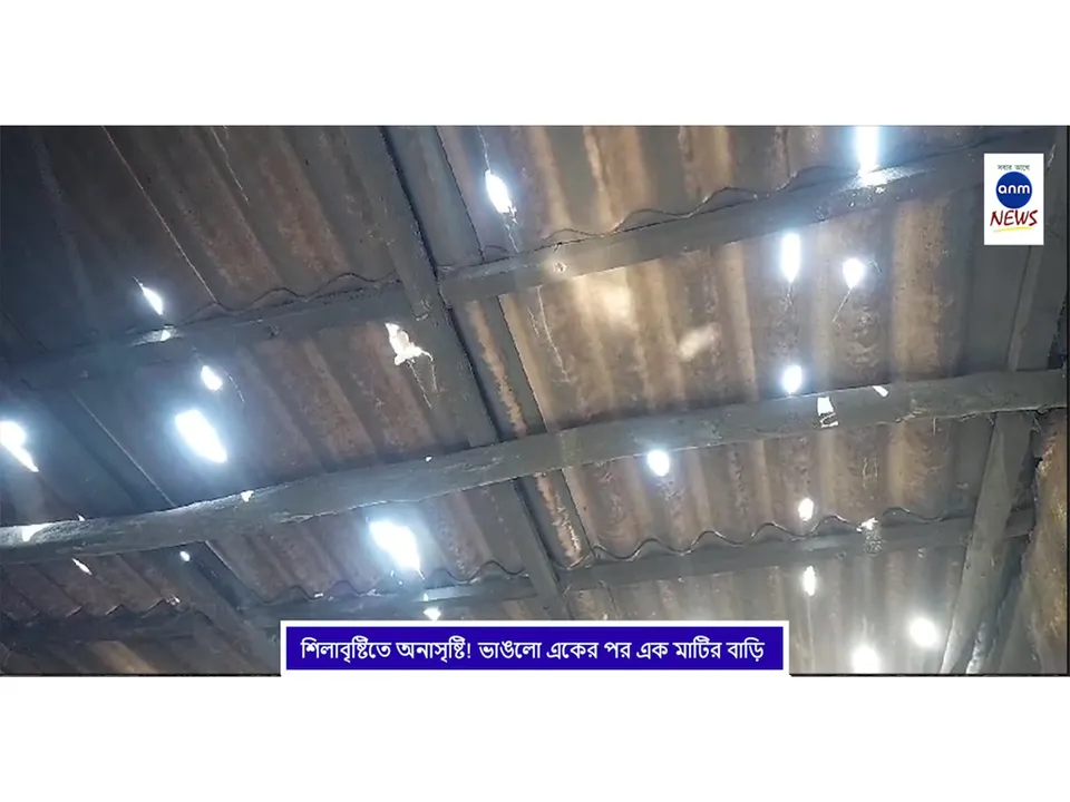 WhatsApp Image 2025-03-24 at 18.44.46