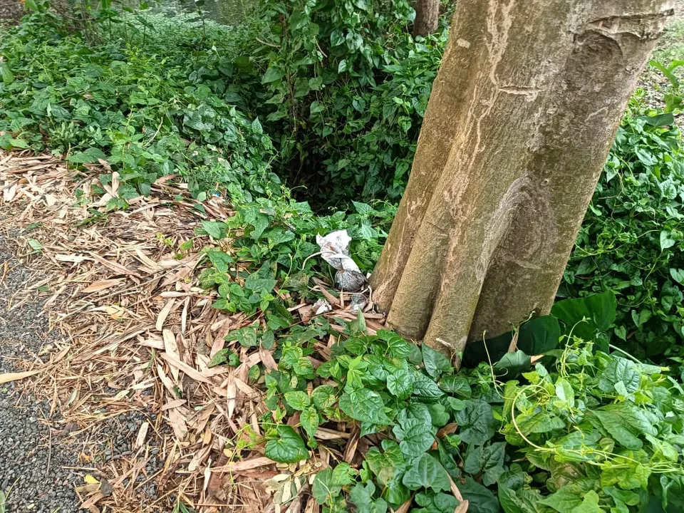 বিজেপি নেতার বাড়ির কাছে উদ্ধার দুটি তাজা বোমা, চাঞ্চল্য ঘাটালে