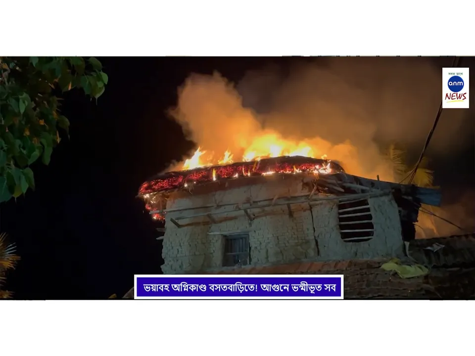 WhatsApp Image 2025-05-14 at 2.53.28 PM