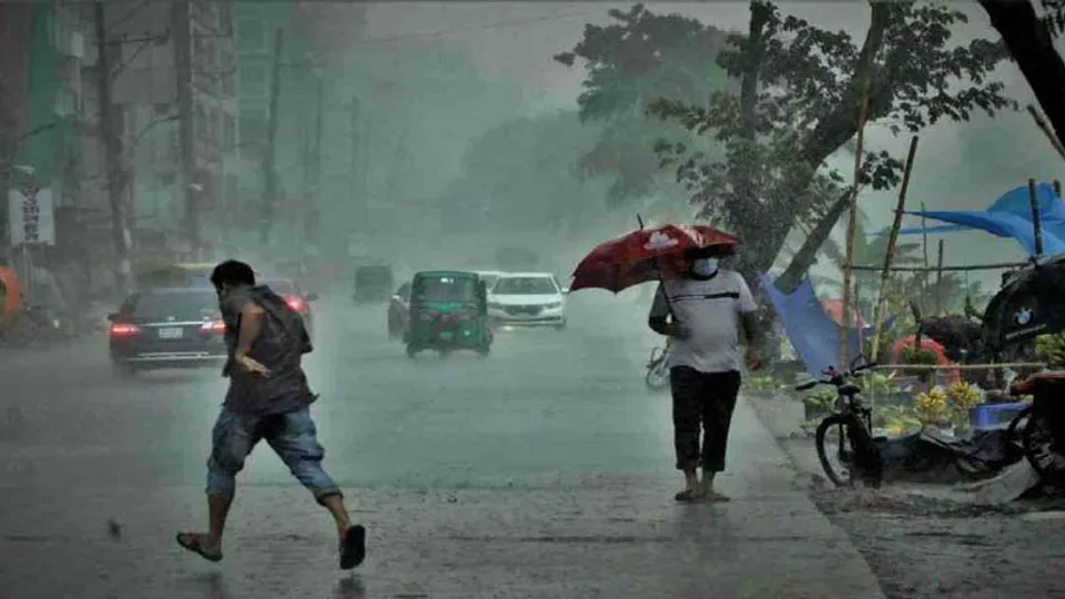 Rain