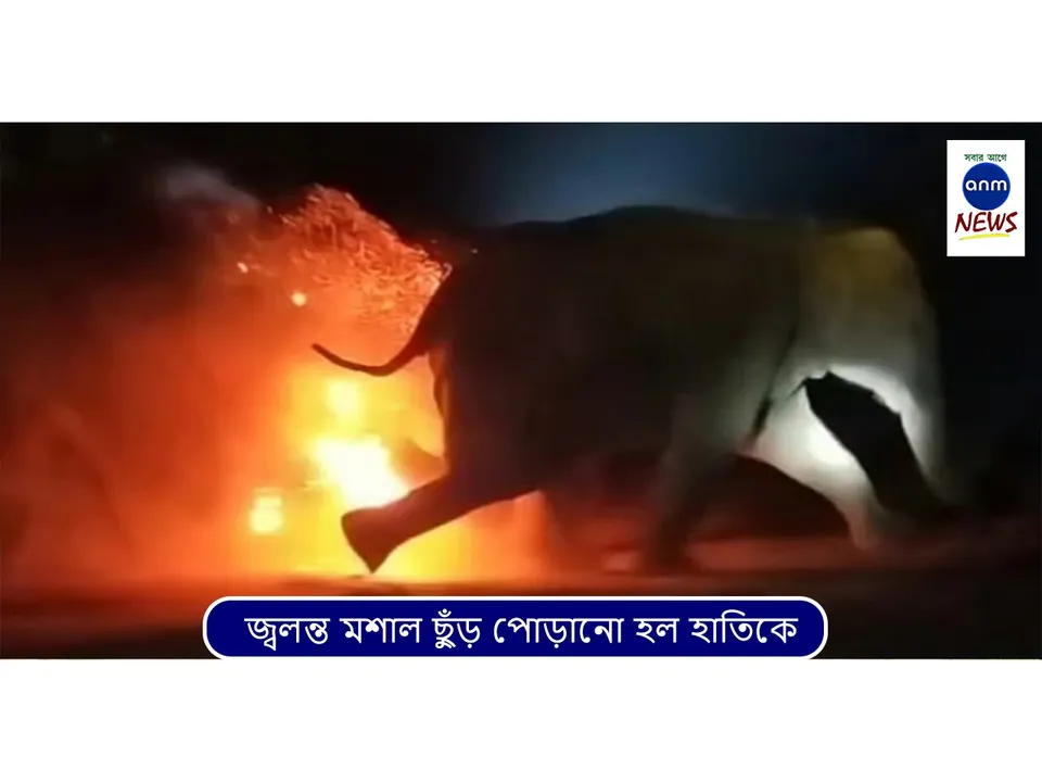 WhatsApp Image 2025-06-13 at 1.42.12 PM